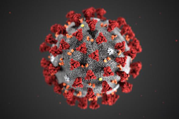 coronavirus-2.jpg - 141,74 kB
